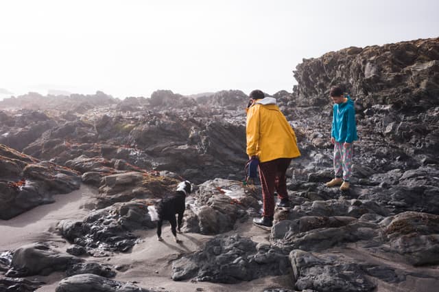 Sam Bloomberg-Rissman — winter coast, Cambria CA