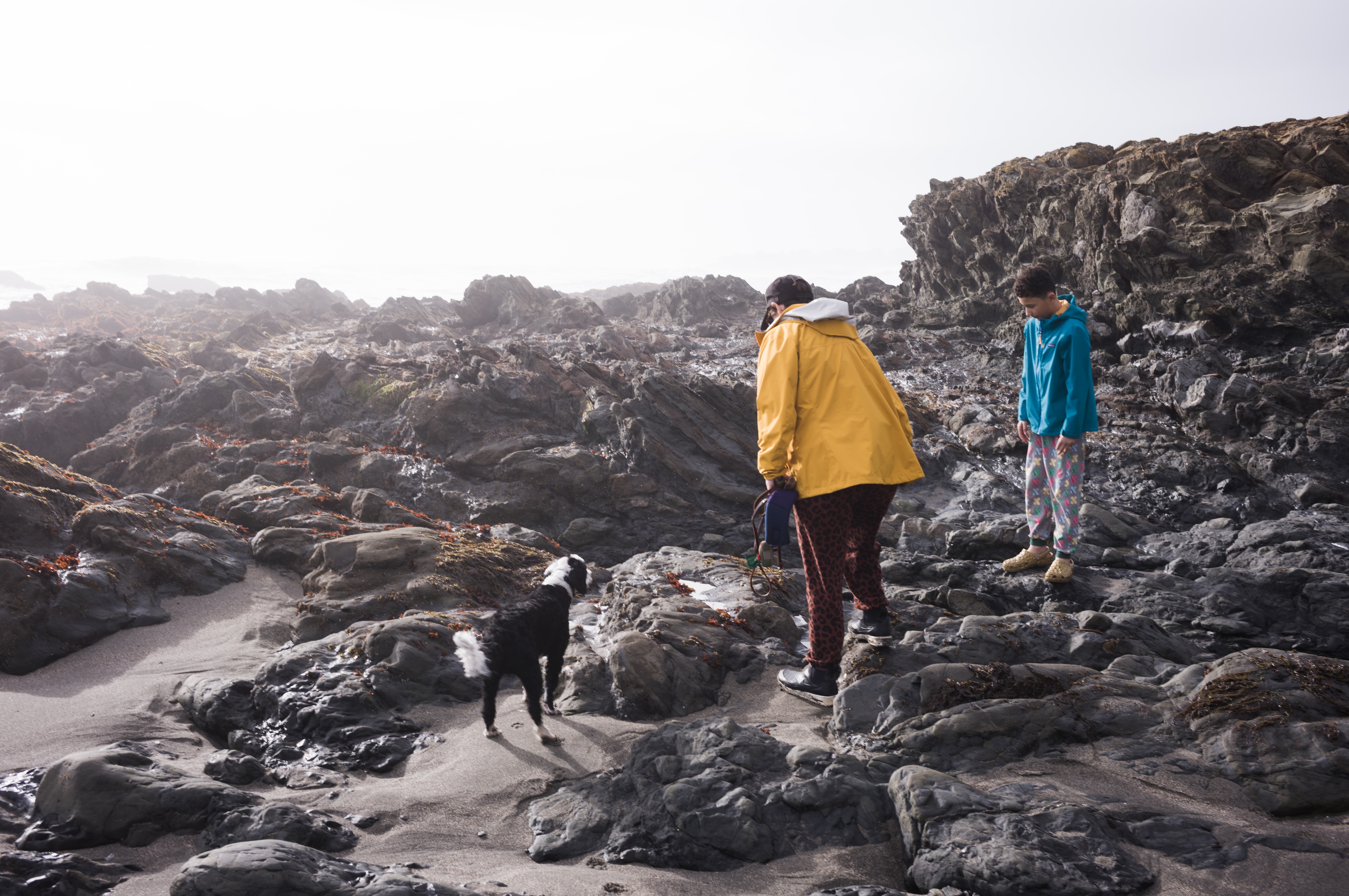Sam Bloomberg-Rissman — winter coast, Cambria CA